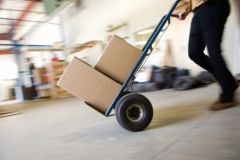 1001737066 1001737066